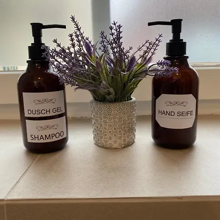 Citylake G23 Mit Kostenloser Parkmoeglichkeit !! * Gmunden