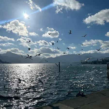 Citylake G23 Mit Kostenlosem Parkgaragen-stellplatz !! * Gmunden