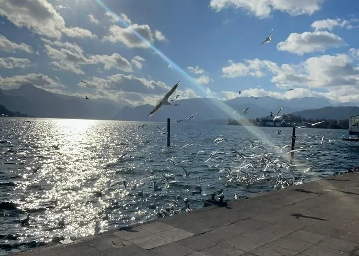 Apartment Citylake G23 Mit Kostenloser Parkmoeglichkeit !! *