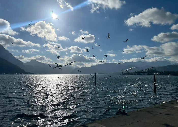 Citylake G23 Mit Kostenloser Parkmoeglichkeit !! * Gmunden