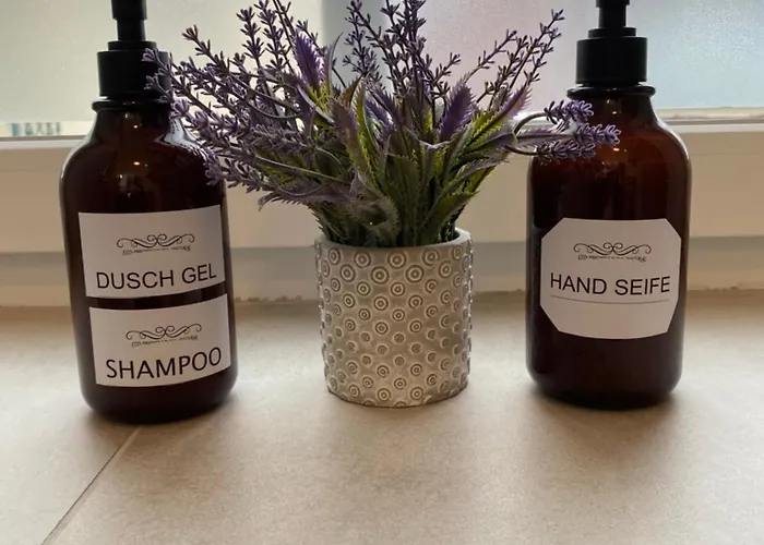 Citylake G23 Mit Kostenloser Parkmoeglichkeit !! * Gmunden